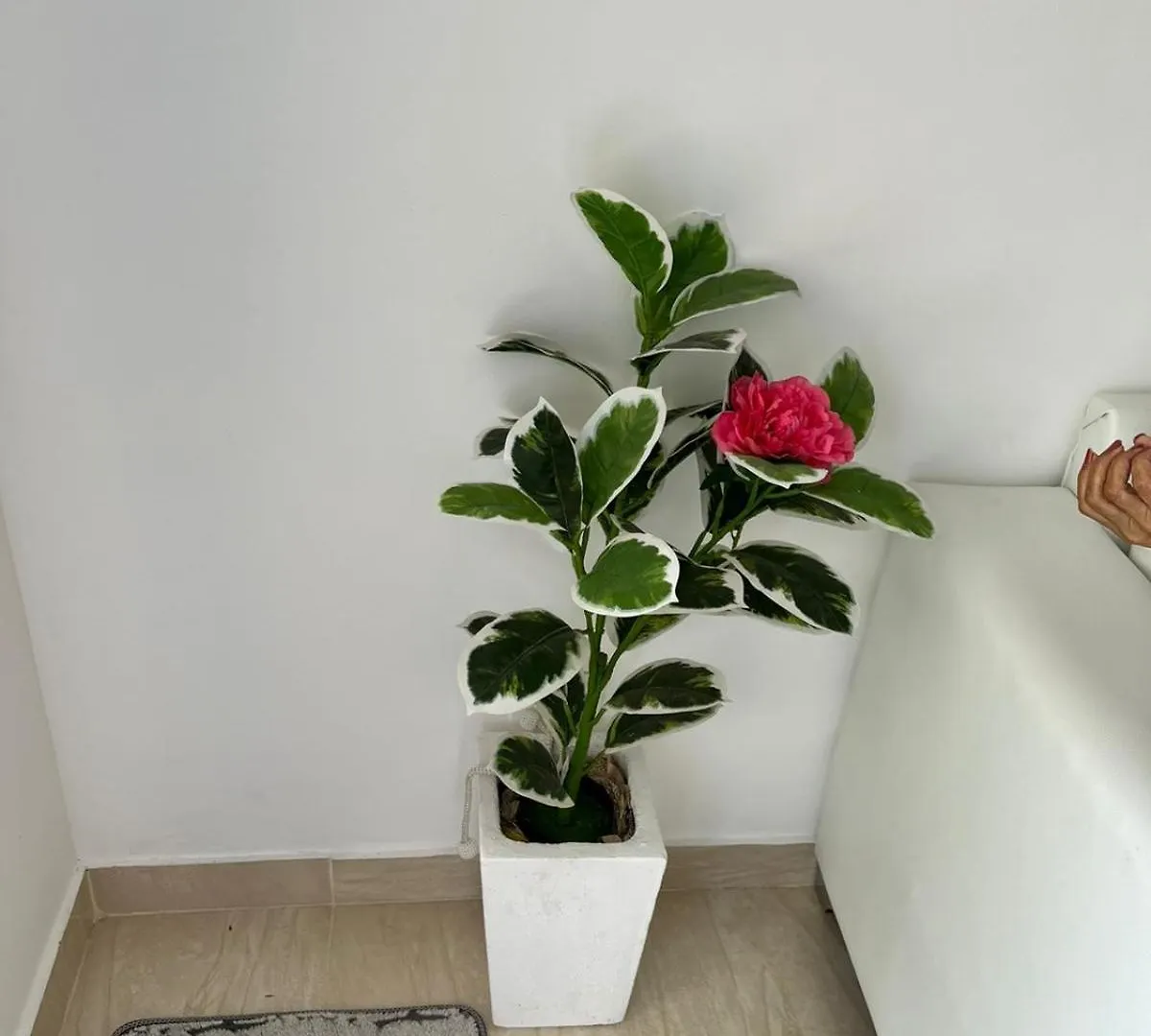 Apartment Ferienwohnung Buy & Rent With Vlad Srl Santiago De Los Caballeros